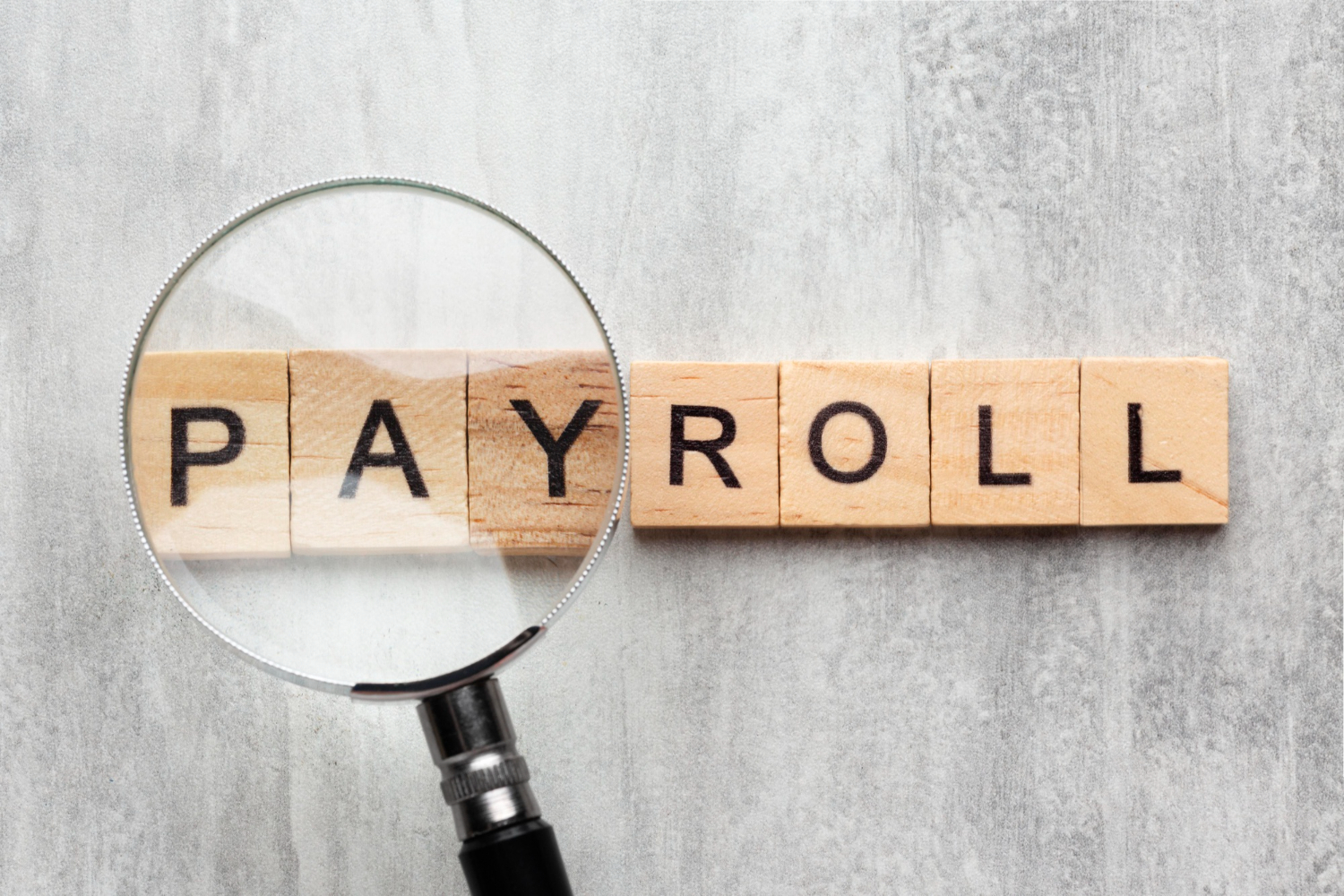 Payroll software in India